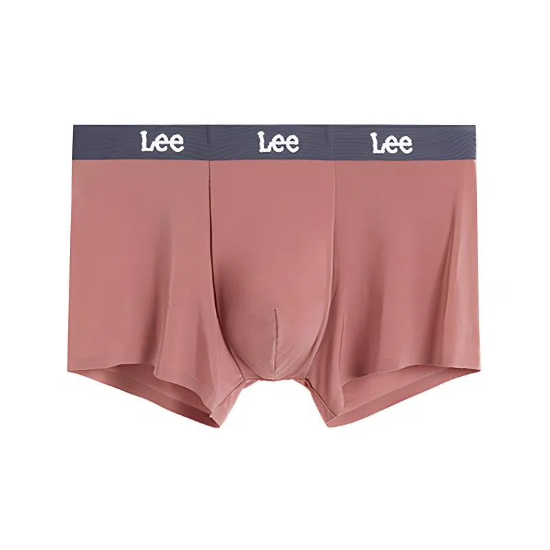 Lee 1