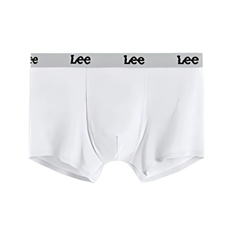 Lee 1