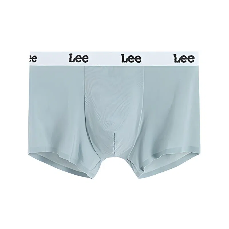 Lee 1