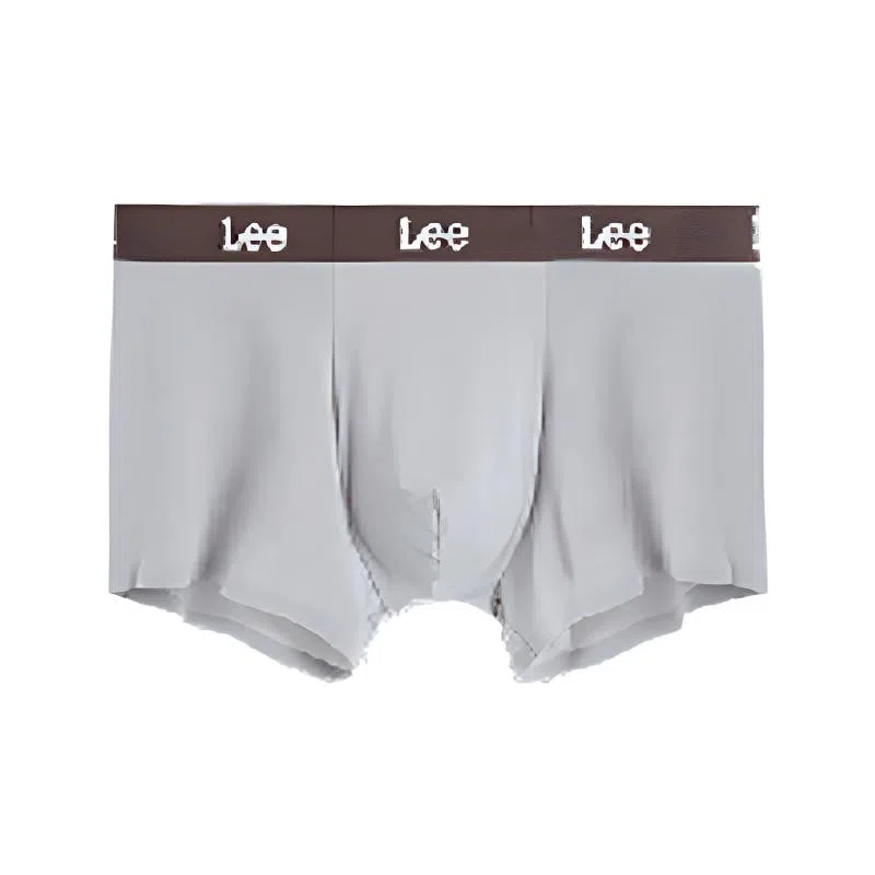 Lee 1
