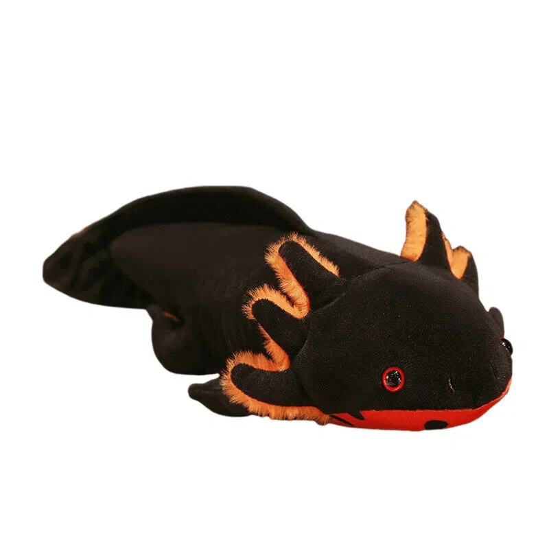 OLOEY 45cm80cm