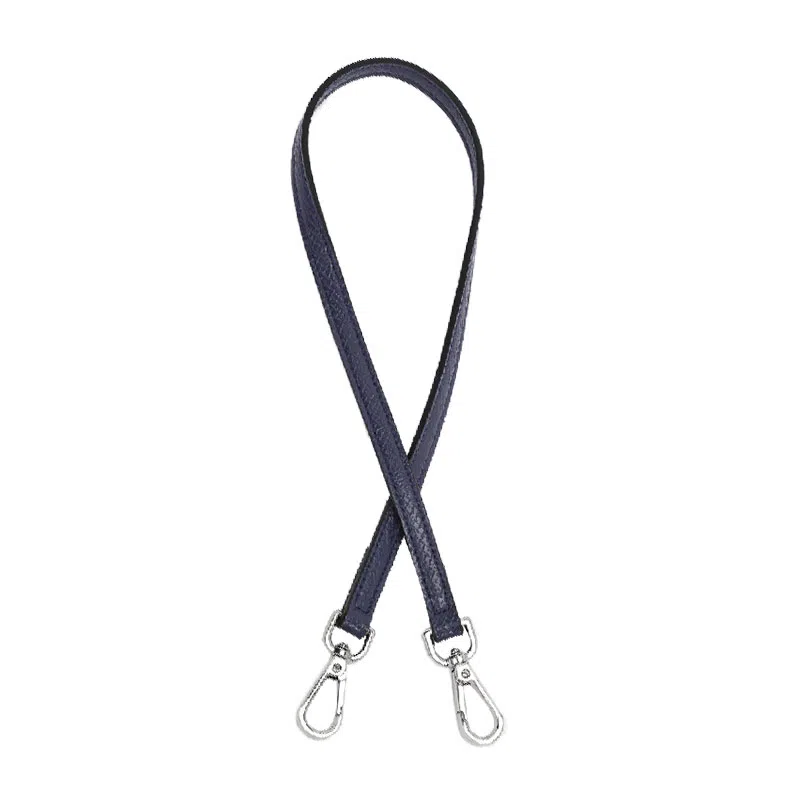 Chaobo Longchamp Mini