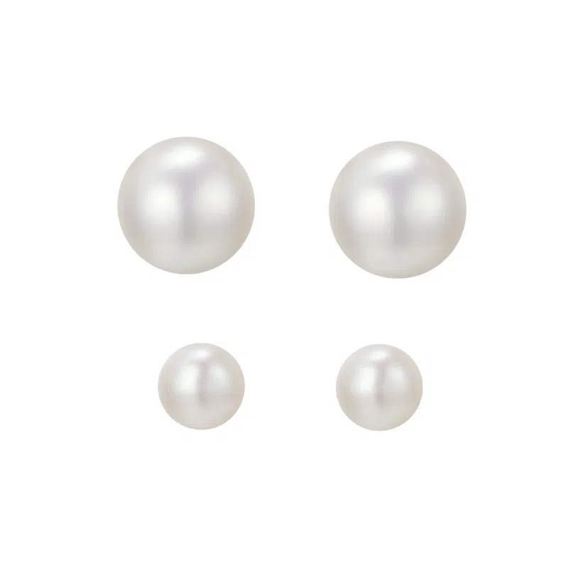 zoo jewel S925