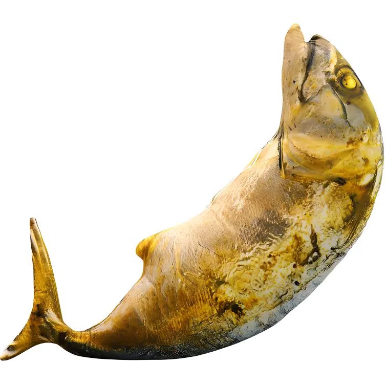 Teacher Lin 20cm60cm70cm80cm