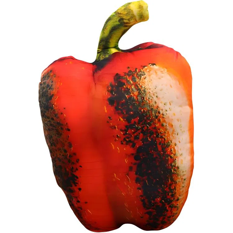 Teacher Lin 20cm60cm70cm80cm