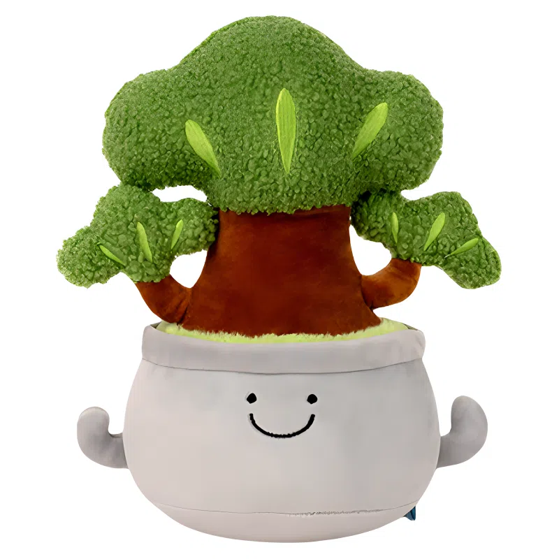 Brangdy 25cm