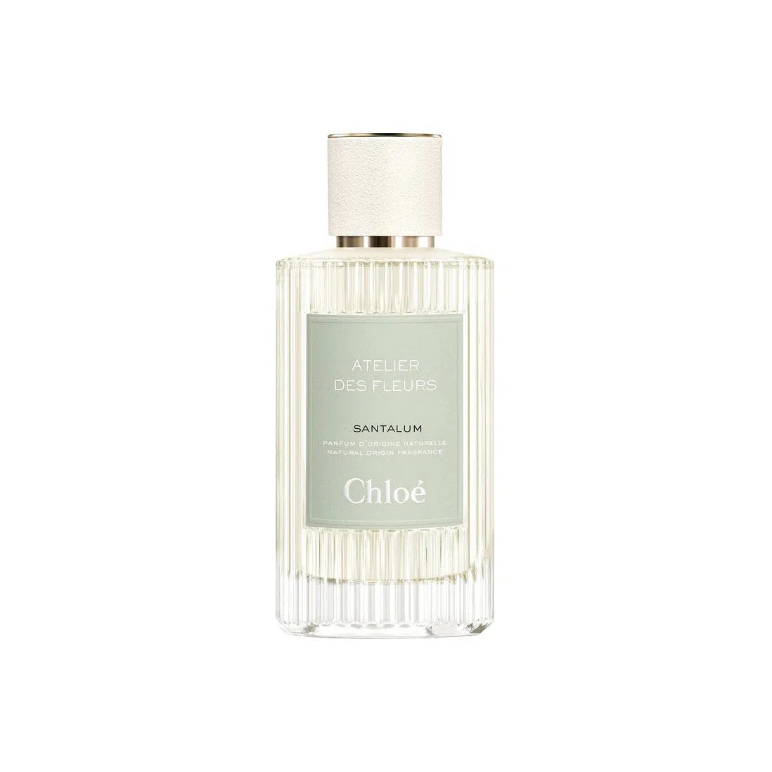 Chloe 50ml150ml