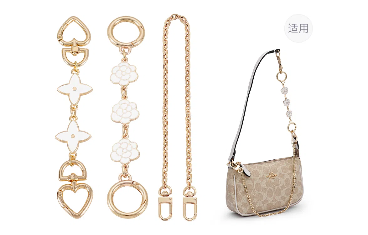 COACHnolita19diy