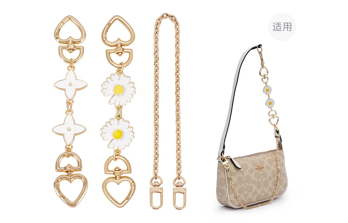 COACHnolita19diy