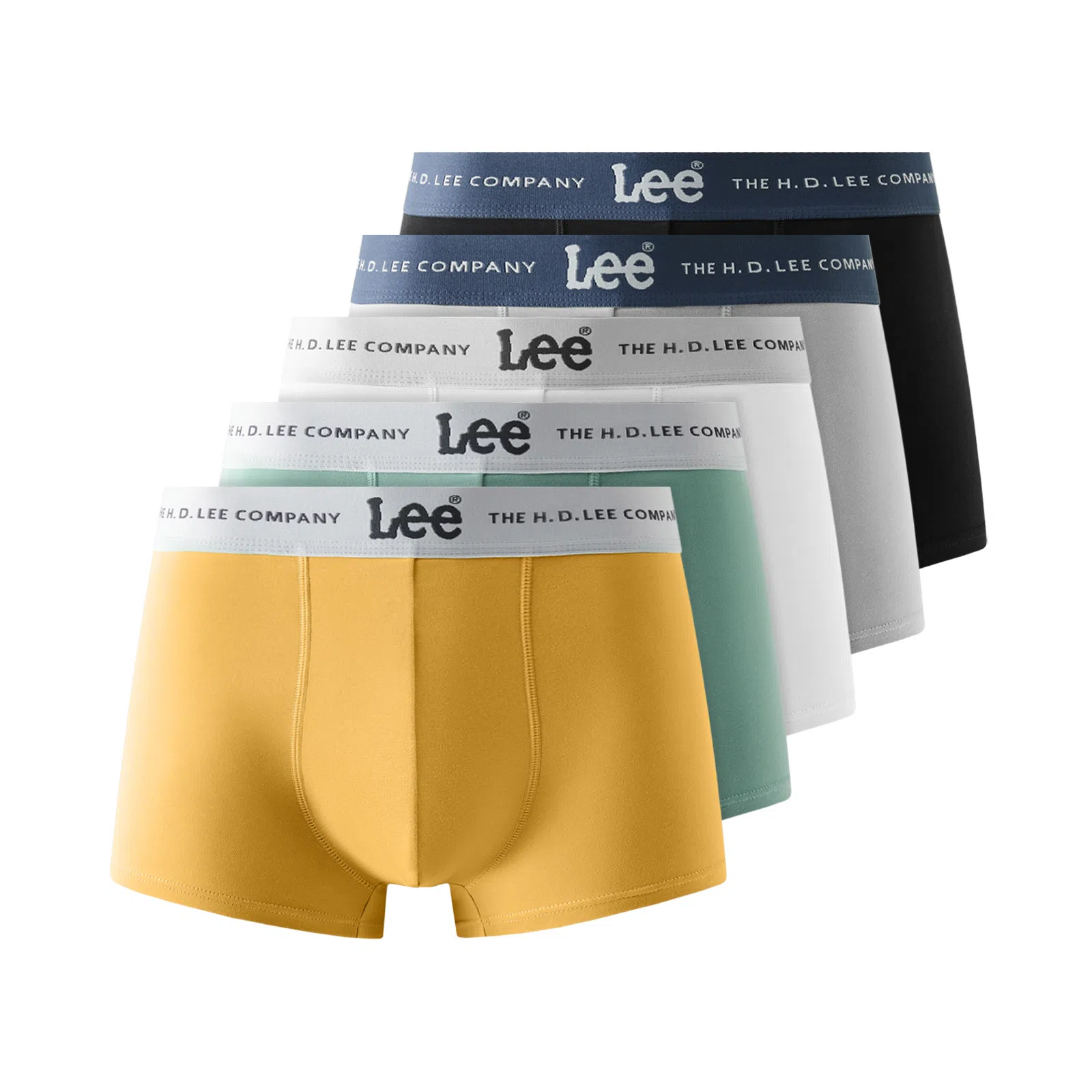 Lee 5