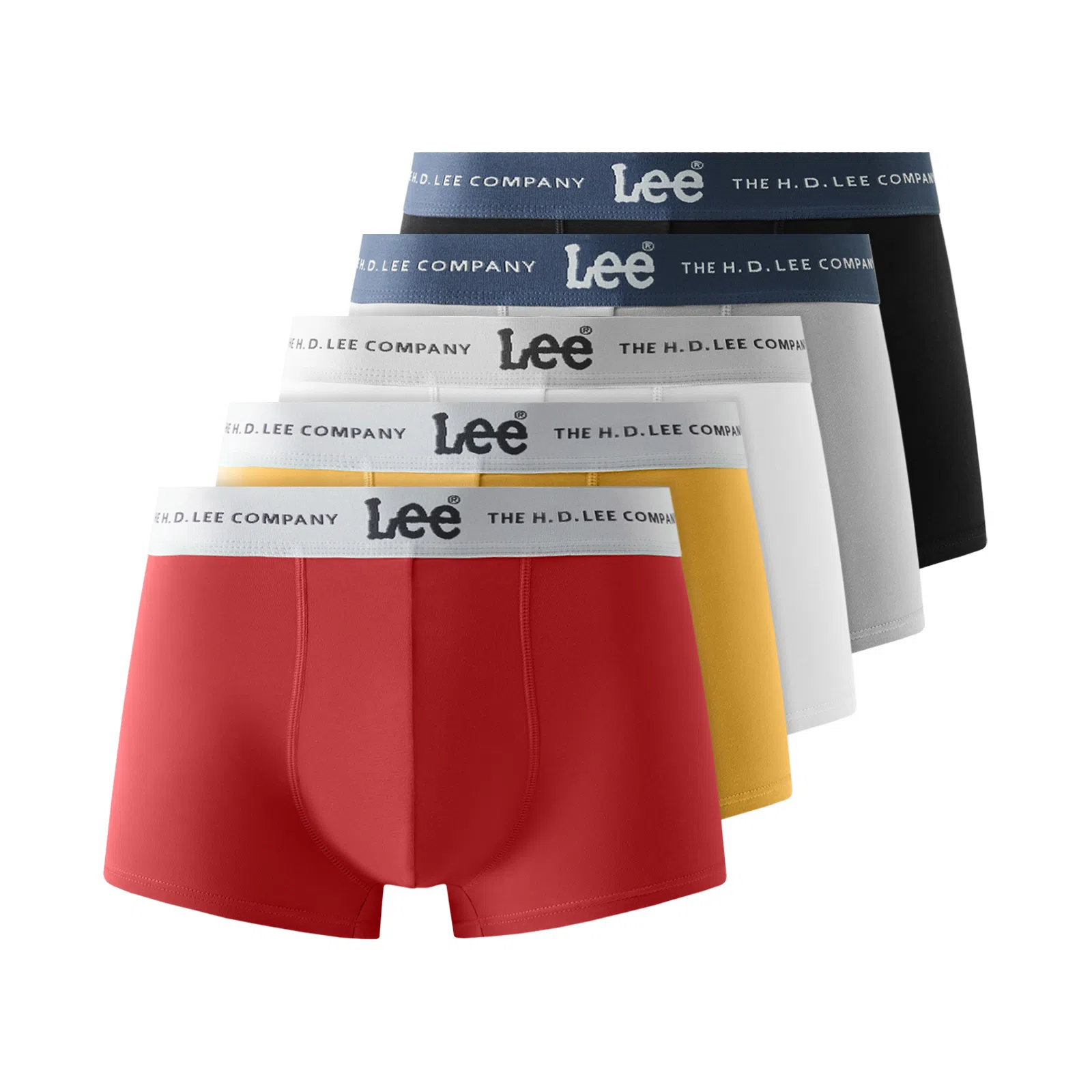 Lee 5