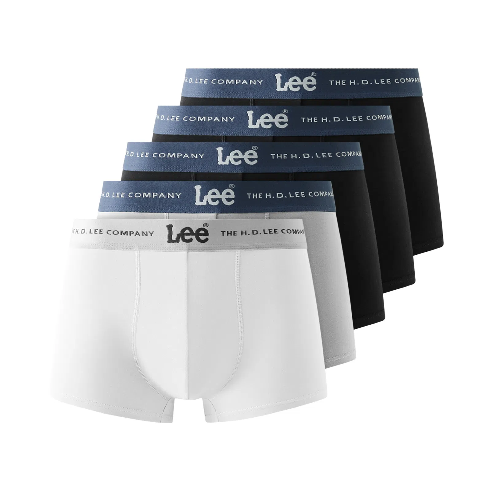 Lee 5