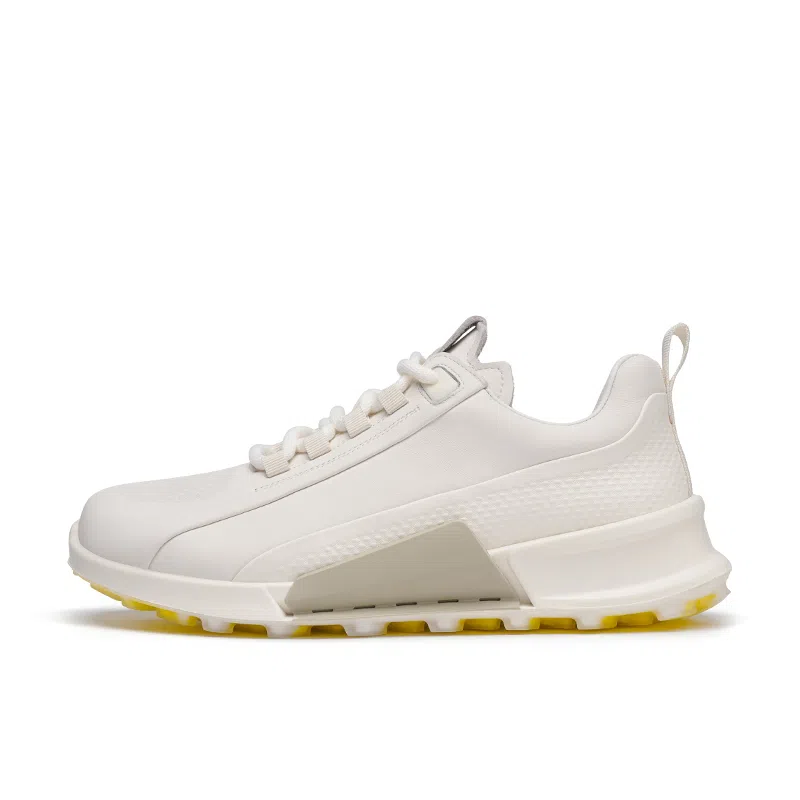 AQUASCUTUM