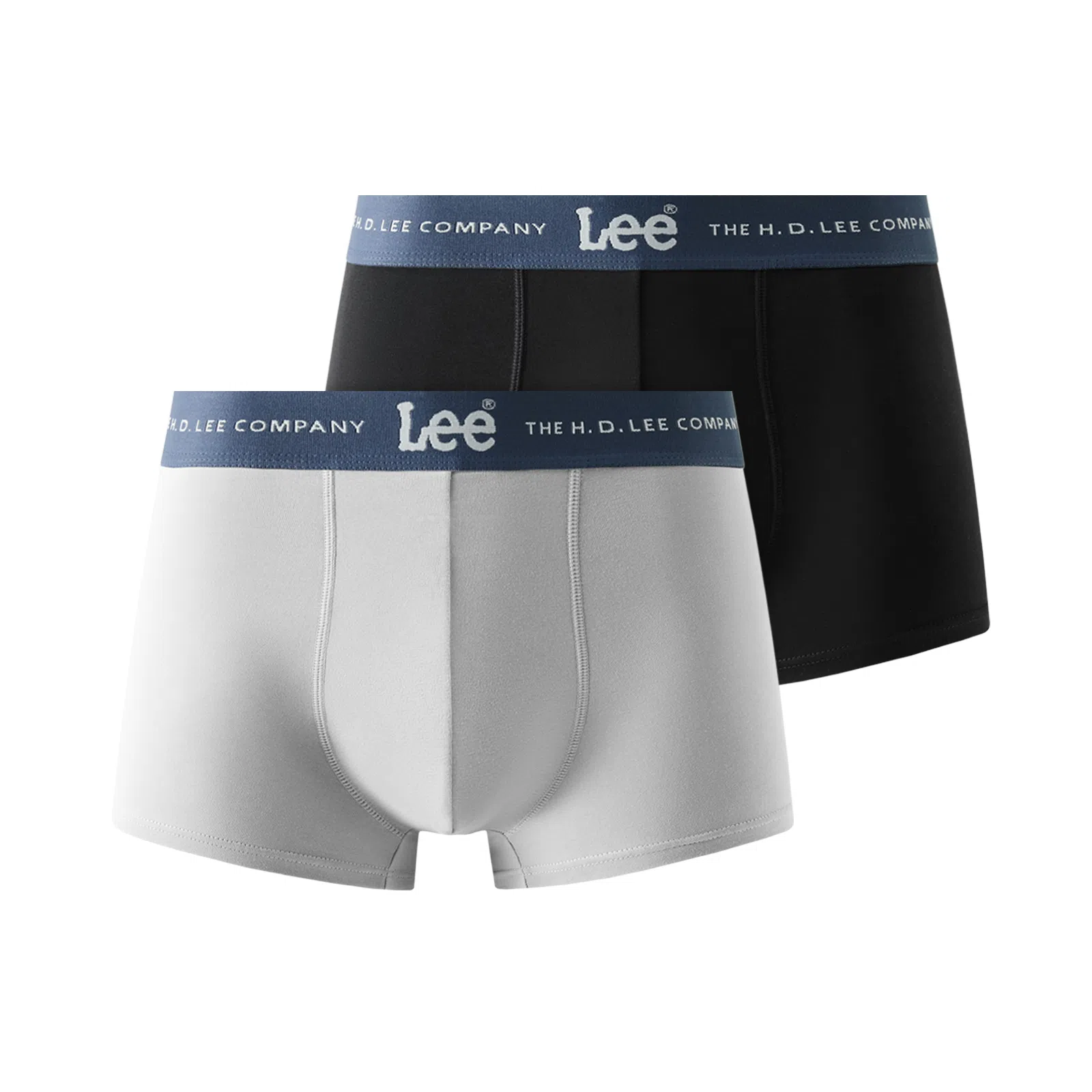 Lee 2