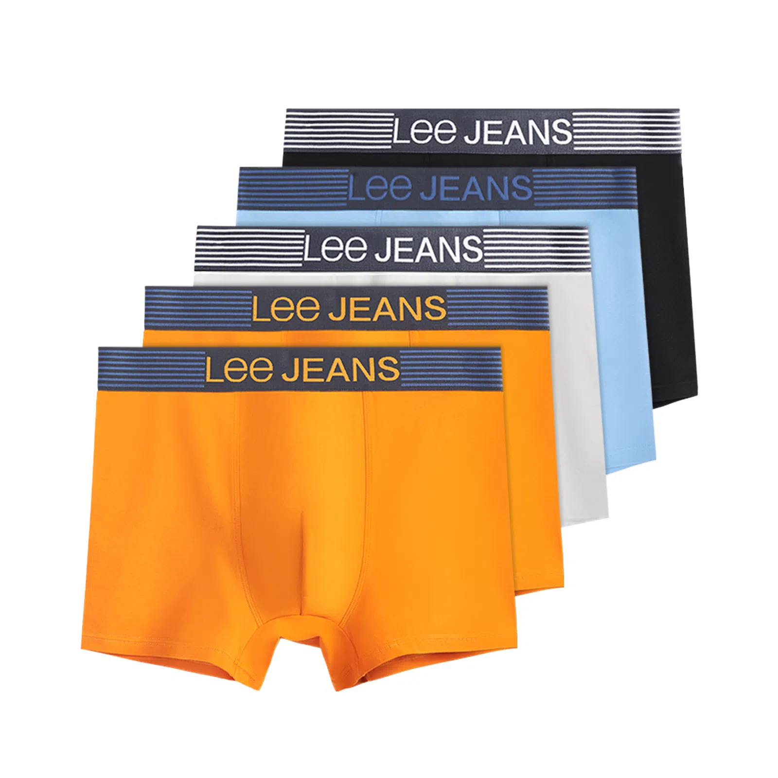 Lee 5
