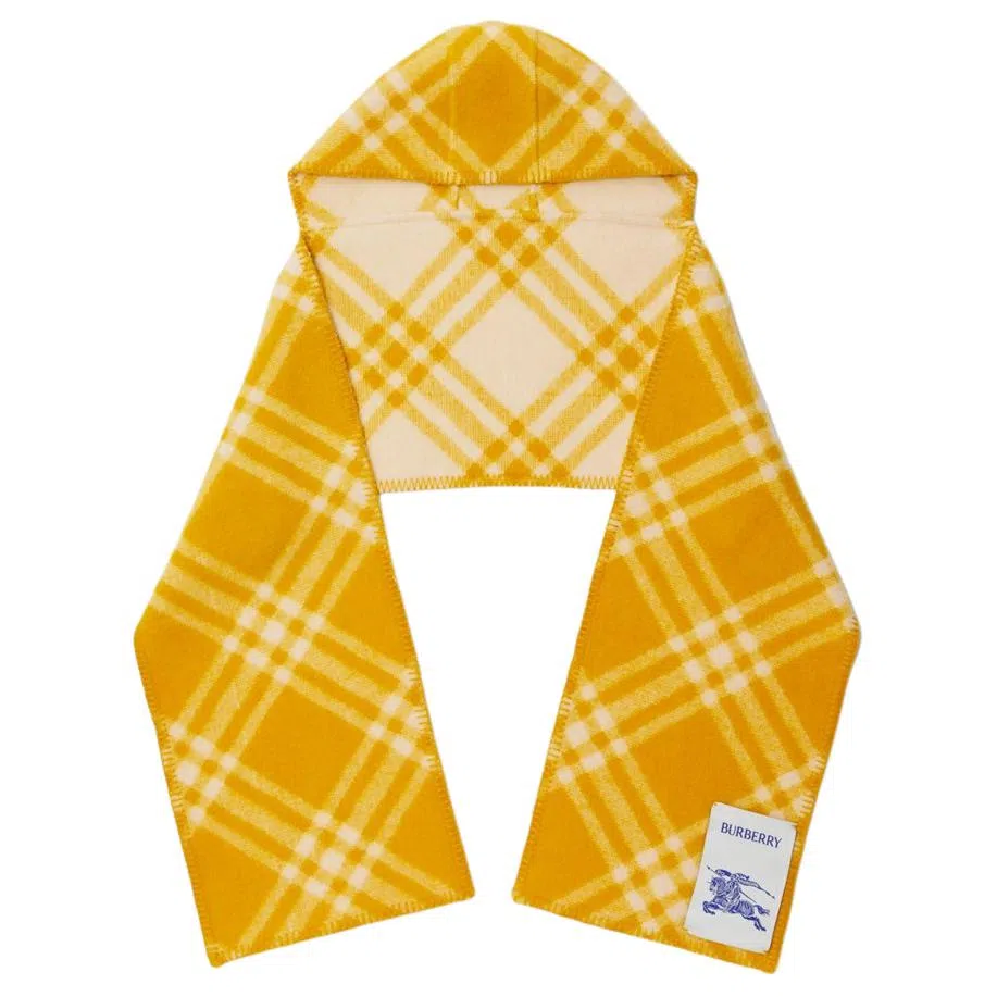 Burberry Shawl