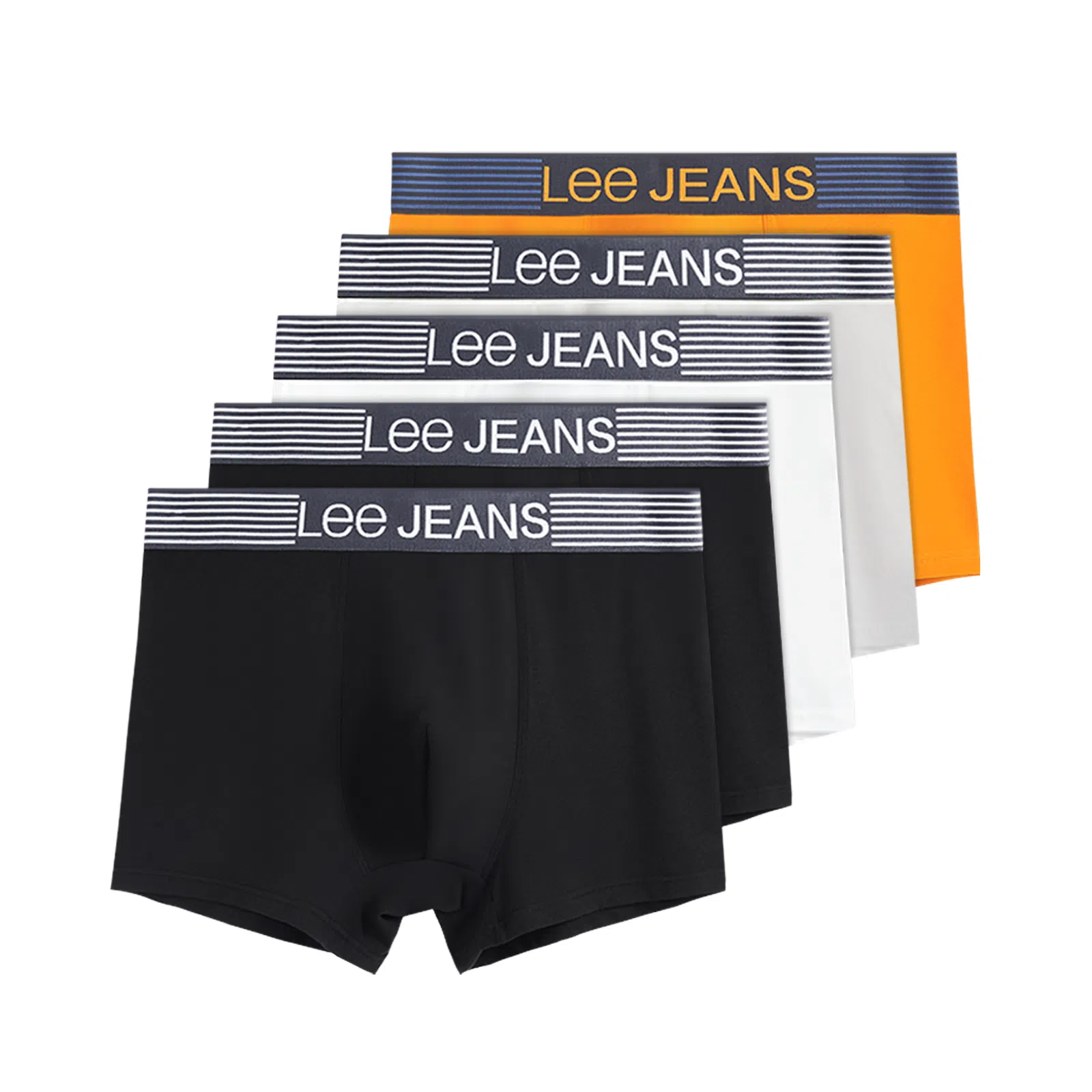 Lee 5