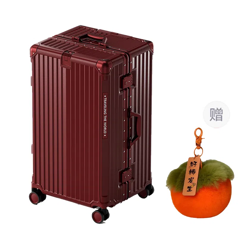 BRINCH ABS+PC 2024262830