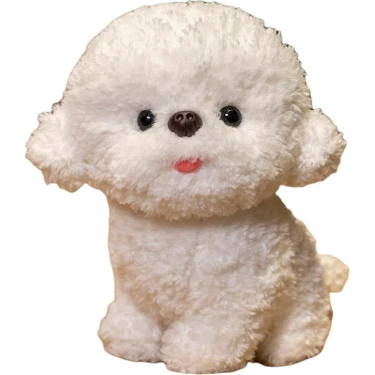 20cm30cm
