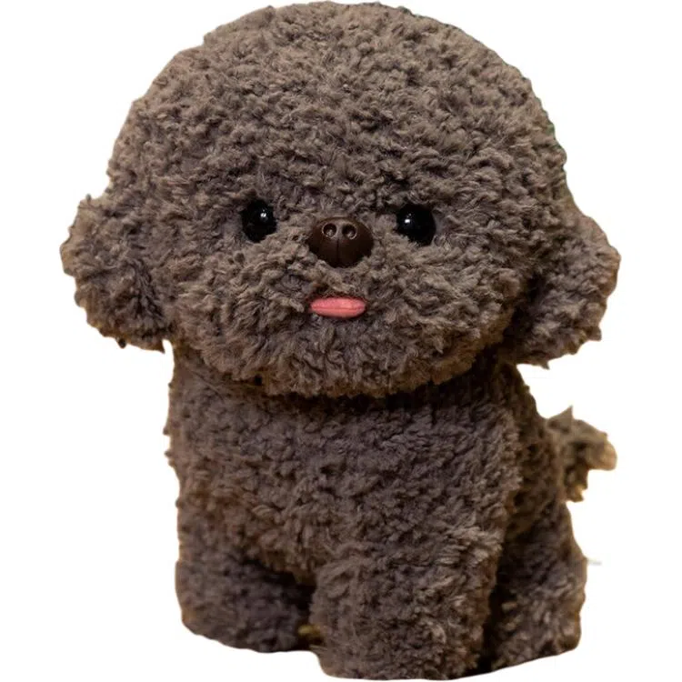 20cm30cm