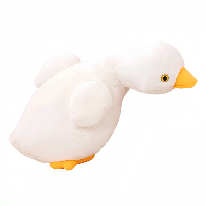 50cm70cm