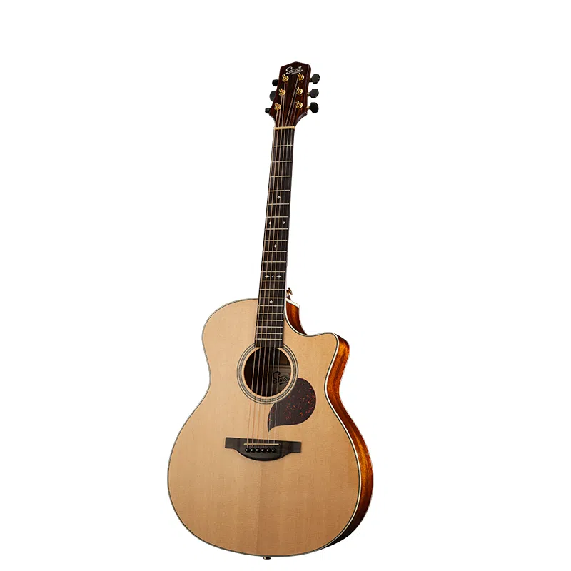 STARSUN F120F130() 41GA