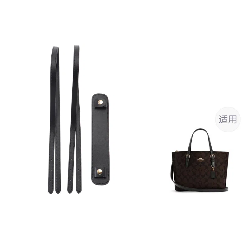 COACH City152333 mollie