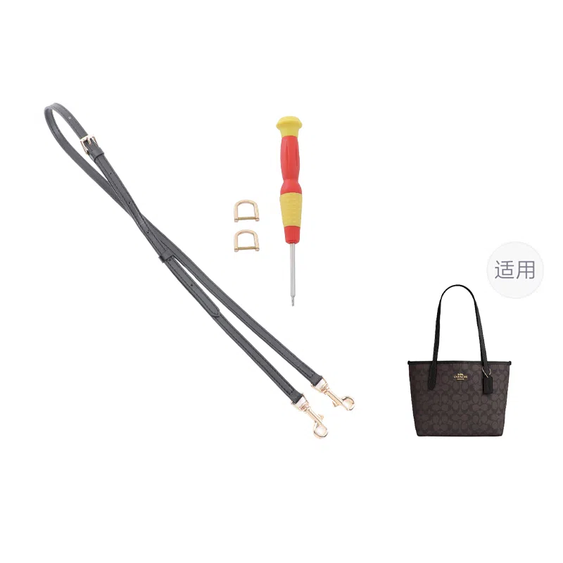 COACH City152333 mollie