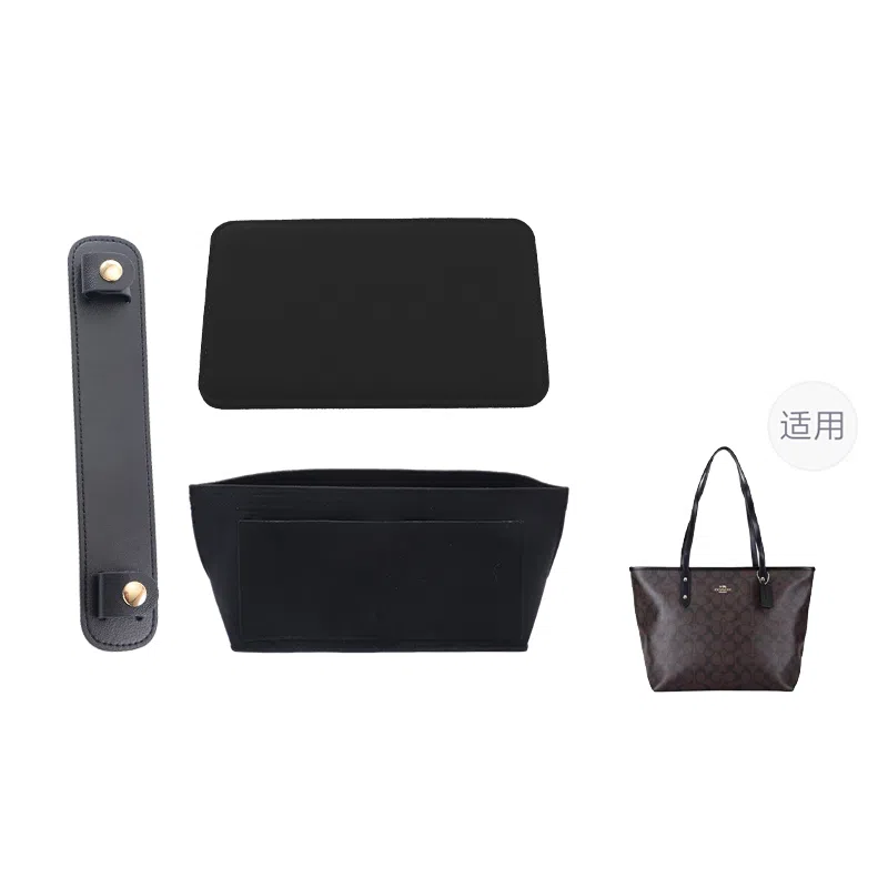 COACH City152333 mollie