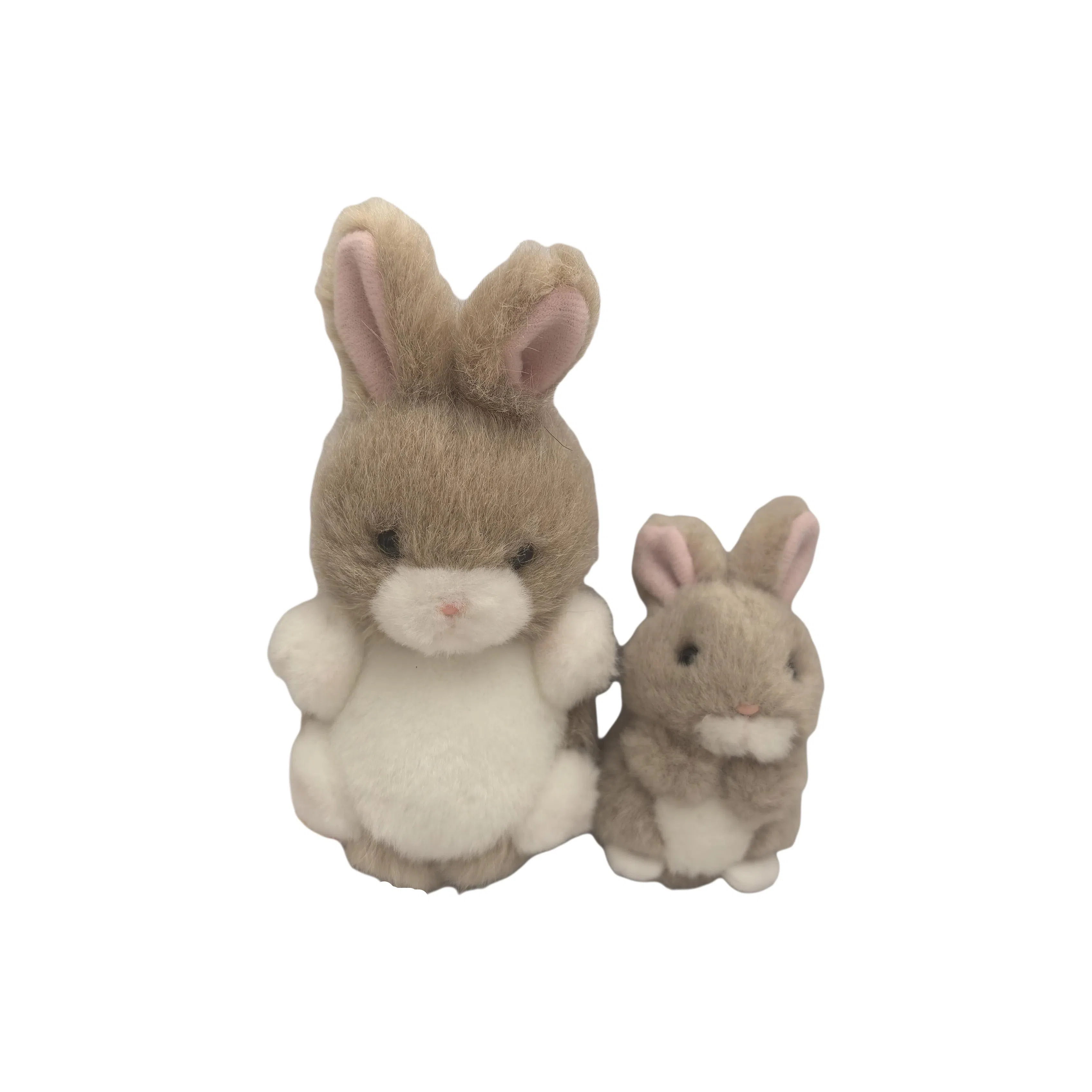 TAKENOKO 8.5cm12cm 2