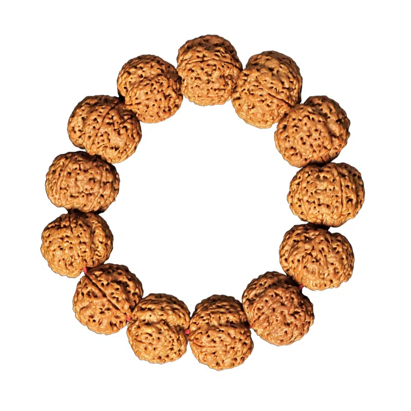 达隆 尼泊尔五瓣精品 金刚菩提 手串 男女同款情侣款