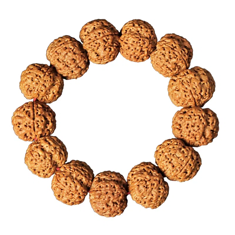 达隆 尼泊尔五瓣精品 金刚菩提 手串 男女同款情侣款