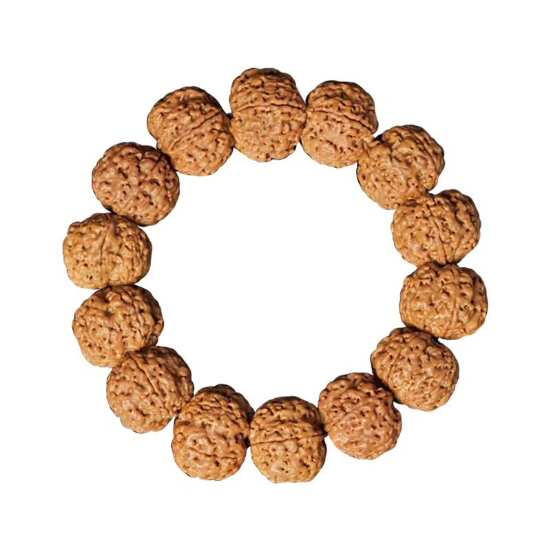 达隆 尼泊尔五瓣精品 金刚菩提 手串 男女同款情侣款