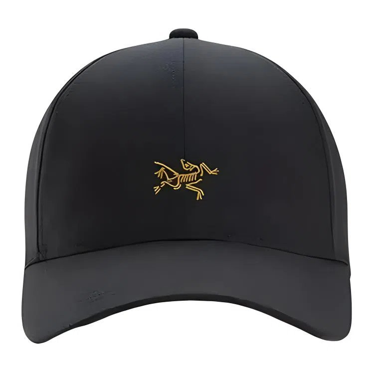 Arcteryx Cap