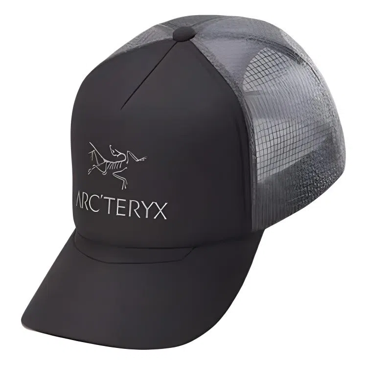 Arcteryx Logo Cap Black