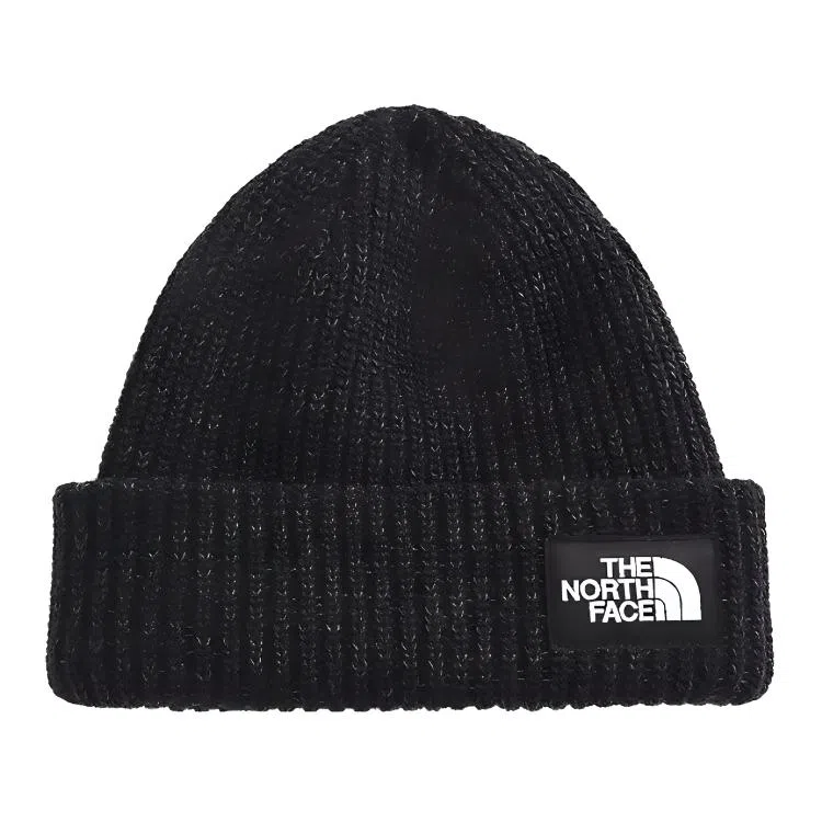 THE NORTH FACE FW21 Salty Dog Beanie 3FJW JK3
