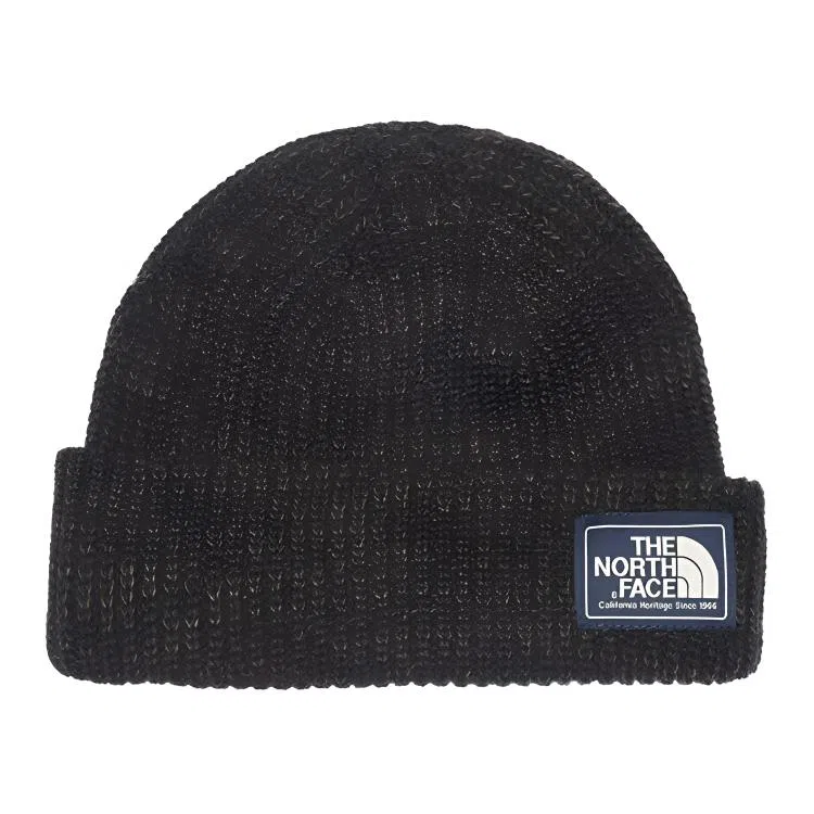 THE NORTH FACE FW21 Salty Dog Beanie 3FJW JK3