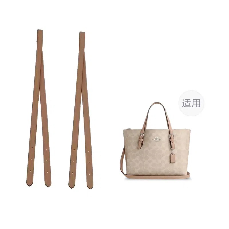 COACH Mollie 25 Tote