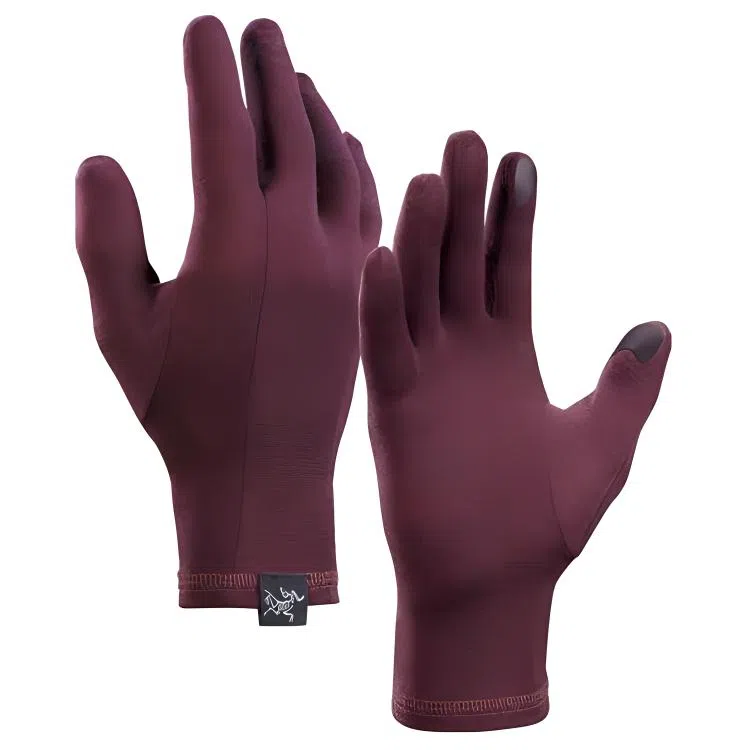 Arcteryx Gothic Glove Black