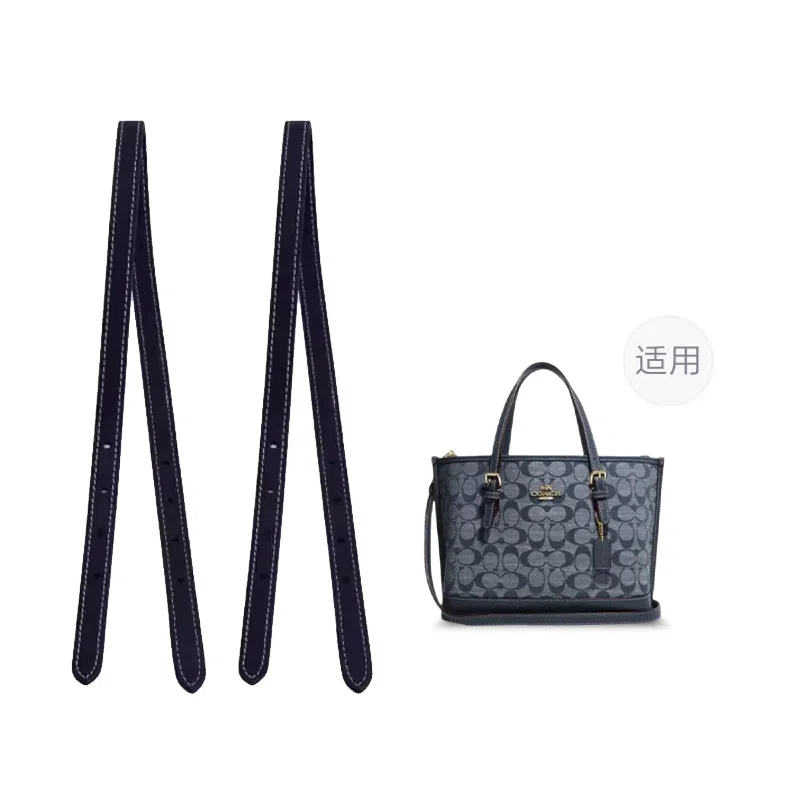 COACH Mollie 25 Tote