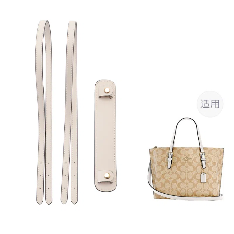 COACH Mollie25 Tote Accessories