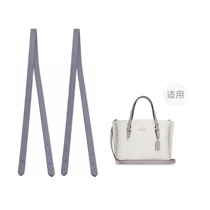 COACH Mollie 25 Tote