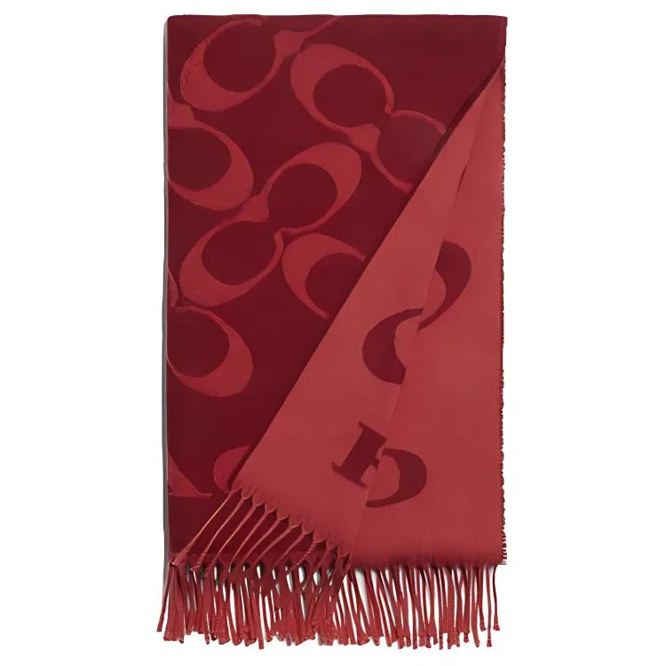 COACH Scarf