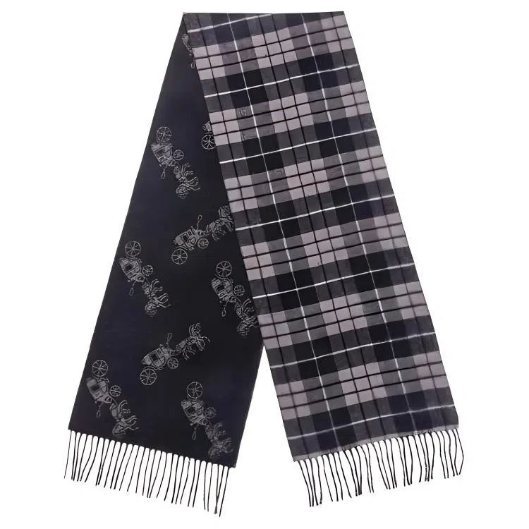 COACH Scarf