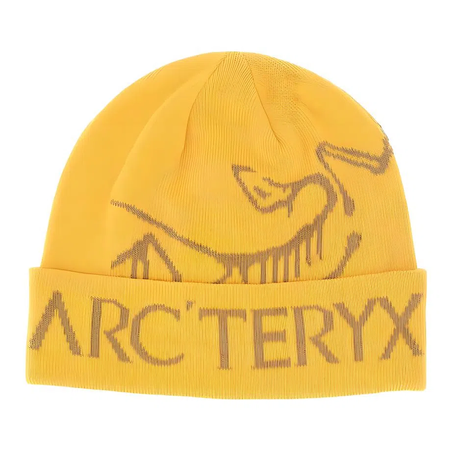 Arcteryx