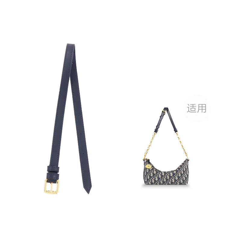 Diorstar Hobo Oblique