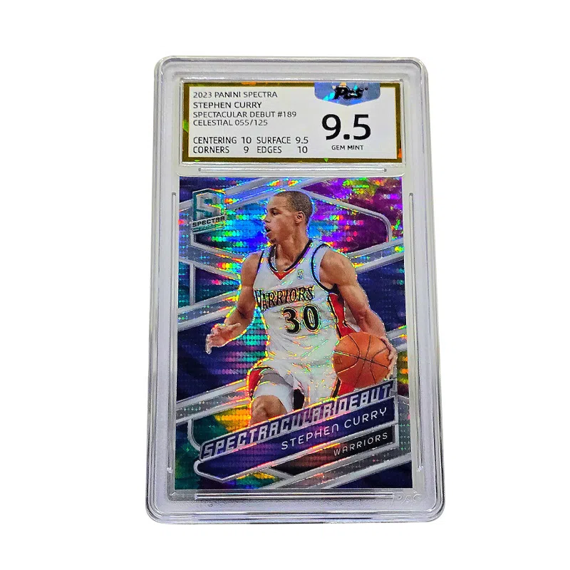 PANINI 055125