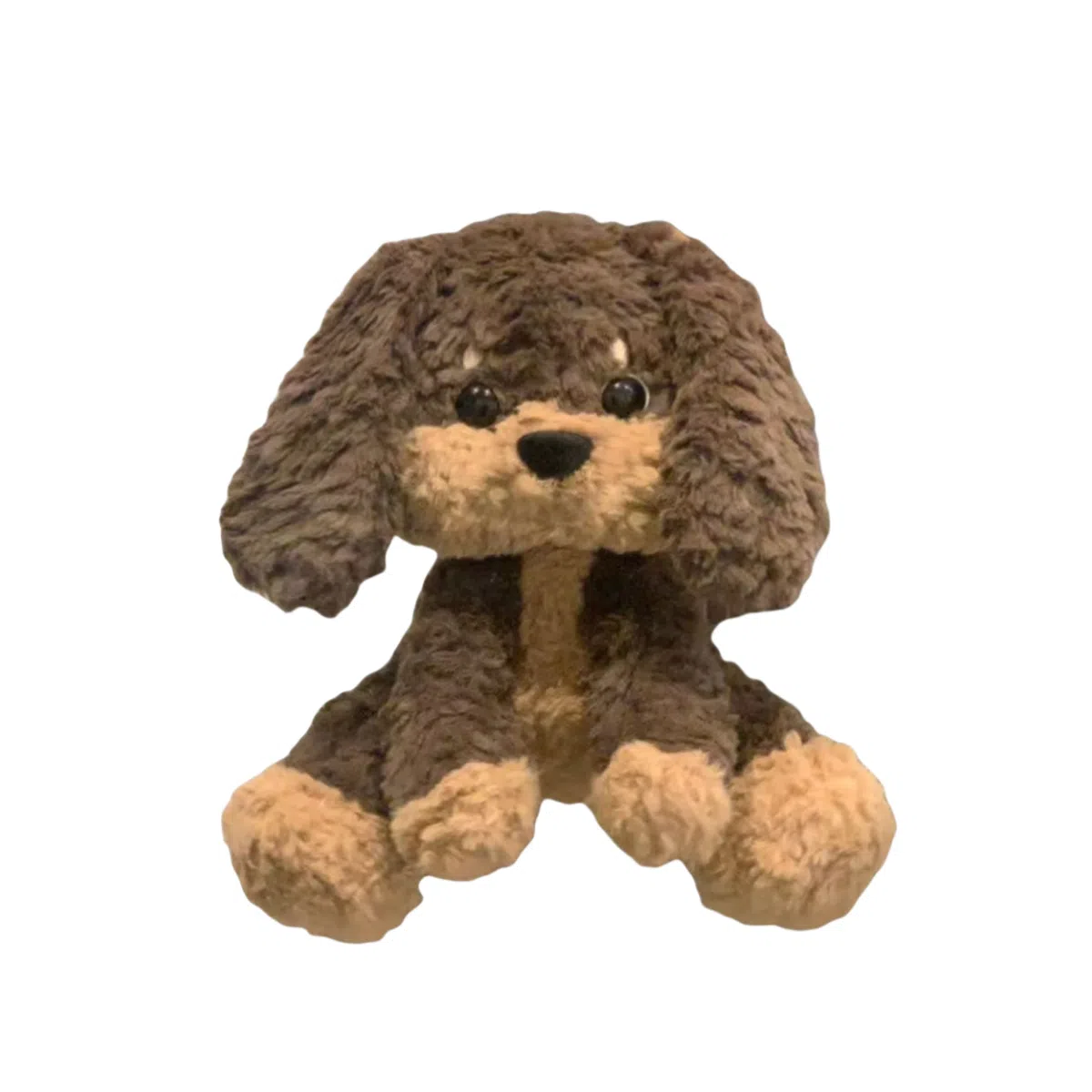 25cm
