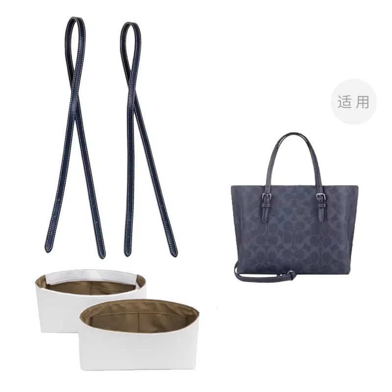 COACH Mollie 25 Totediy