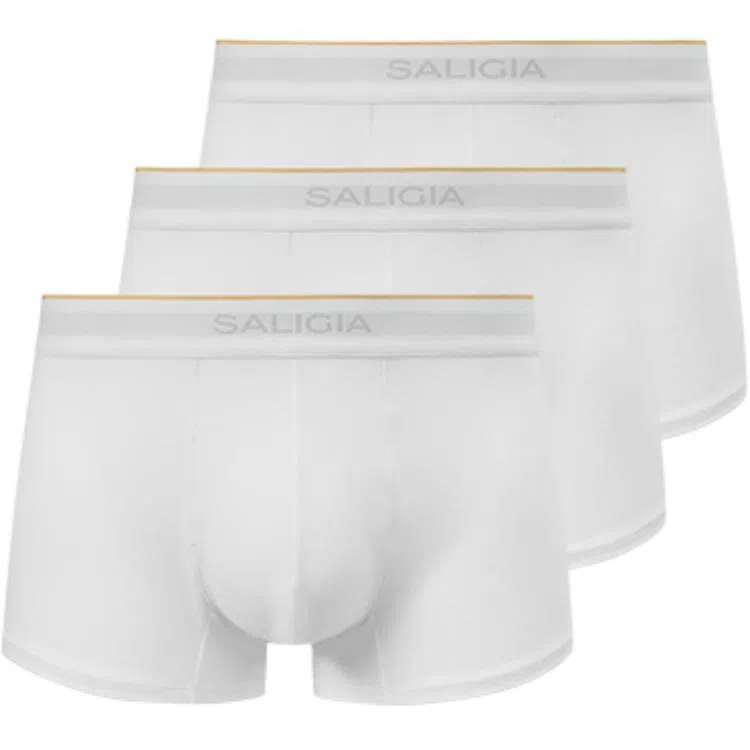 SALIGIA 3